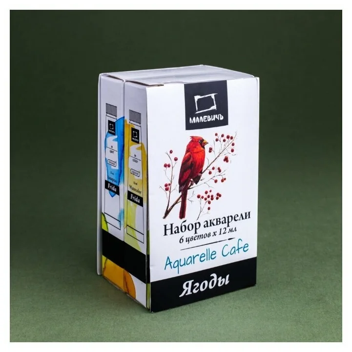 Набор акварели Малевичъ Frida, Red berries, 6 цветов по 12 мл